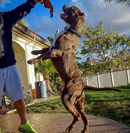 19225293 1750291415268704 2227656647019846455 n