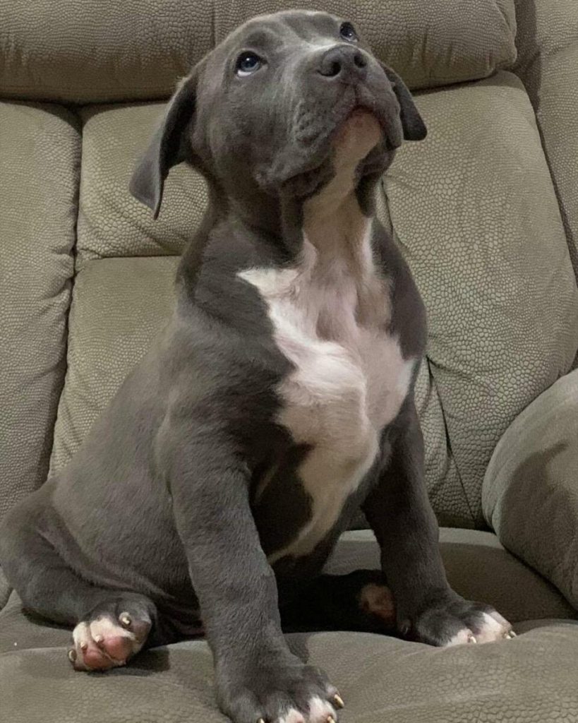 68247350 2179058545725320 2602201314620342272 o 819x1024